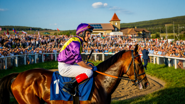 2399f0d30262bd87a85cba8030377840