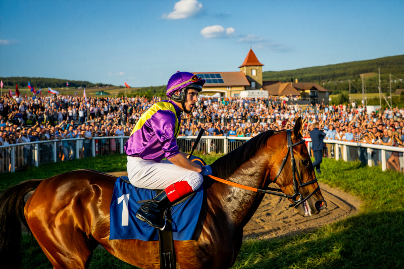 2399f0d30262bd87a85cba8030377840